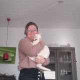 Josje